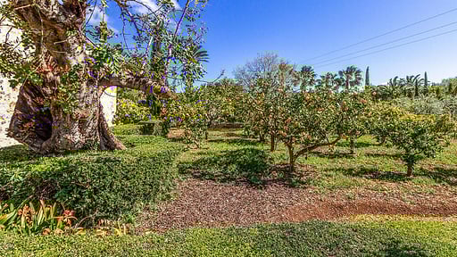 Villa Martorell Garden