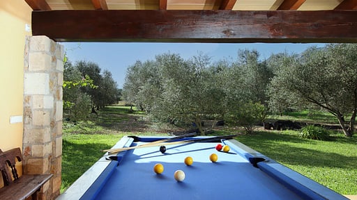Villa Martorellet Billiard