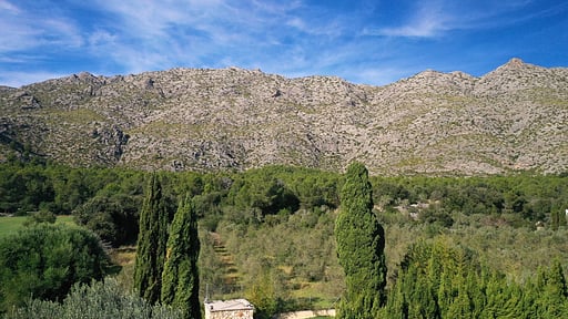 Villa Martorellet Others