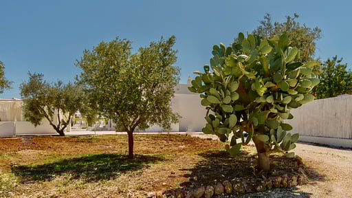 Villa Masseto Jardin