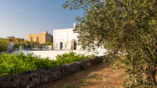 Villa Masseto Jardin