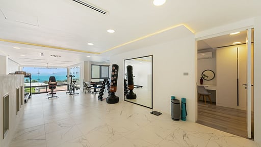 Villa Master Peak H4 健身房