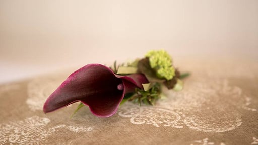 Villa Matariki Wedding pictures