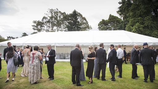 Villa Matariki Wedding pictures