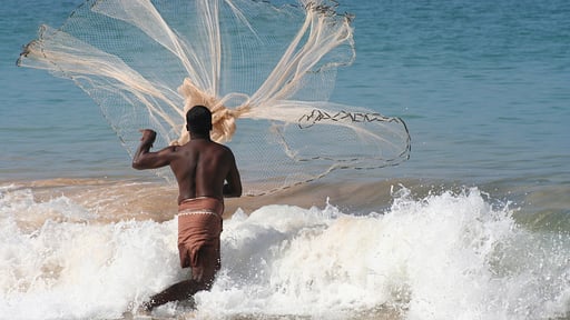 Villa Max Wadiya Others