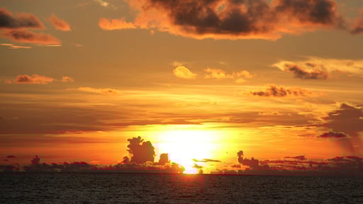 Villa Max Wadiya Others