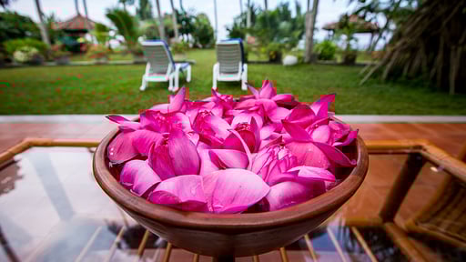 Villa Max Wadiya Others