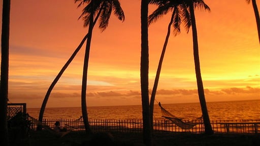 Villa Max Wadiya Others