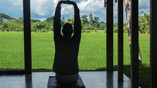 Villa Maya Yoga pictures