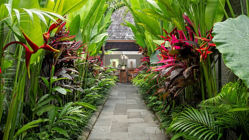 Villa Mayaloka Ubud Premiere Autres