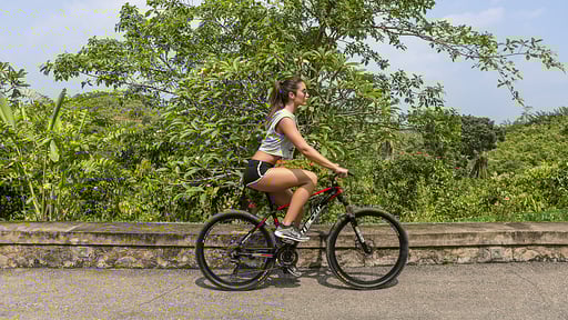 Villa Mayurana Прочее