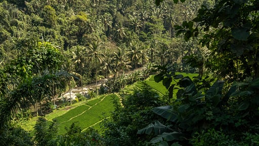 Villa Melati Surroundings