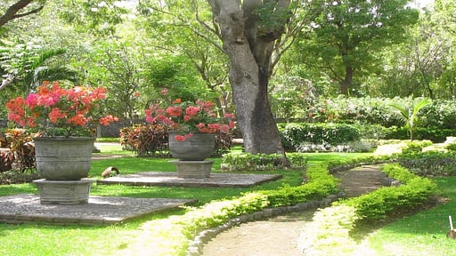 Villa Merah Jardín