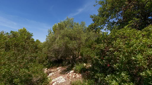 Villa Merienne Surroundings