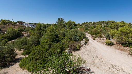 Villa Merienne Surroundings