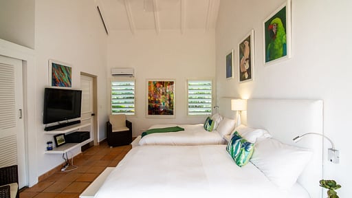 Villa Mes Amis Bedroom 9