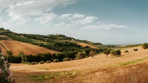 Villa Millefiori Andere