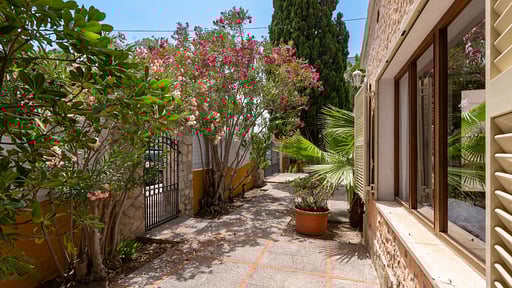 Villa Minerva Others