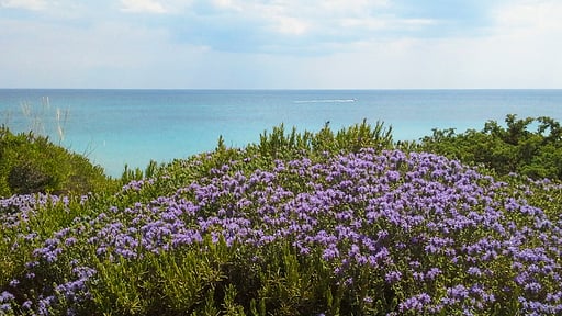 Villa Minni Surroundings