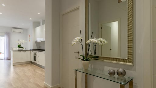 Miquel Santandreu Прочее