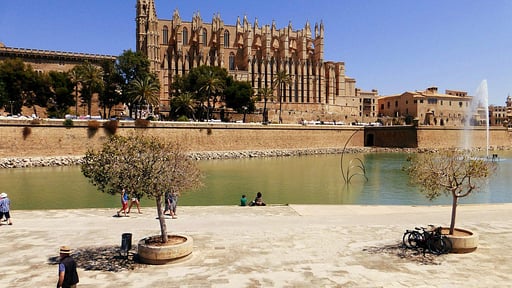 Miquel Santandreu Прочее