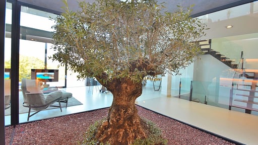 Villa Montblau Others 