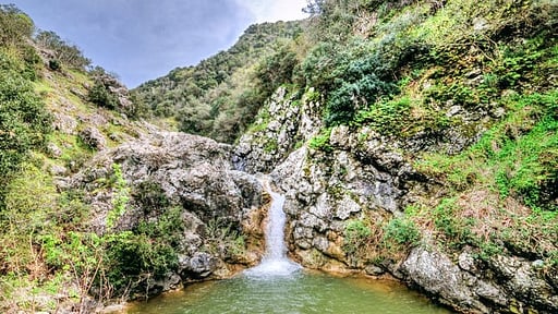 Villa Monte Nero Others