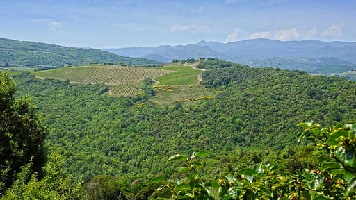 Villa Montecucco Surroundings