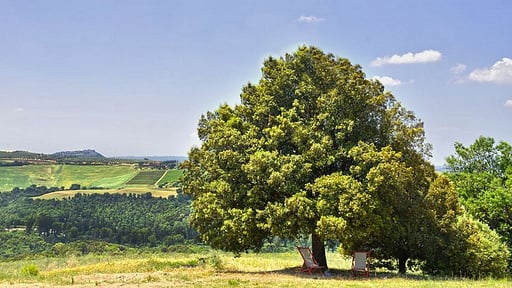 Villa Montecucco Surroundings