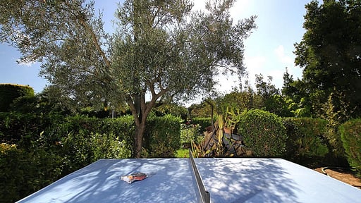 Villa Moreno Table tennis
