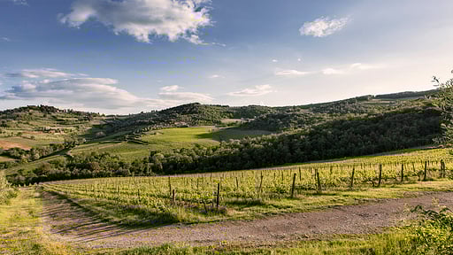 Villa Morino Surroundings