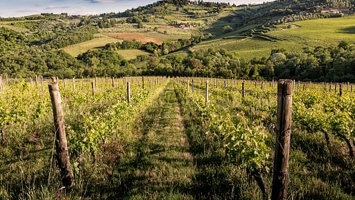 Villa Morino Surroundings