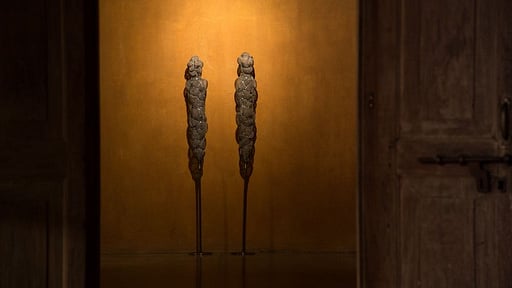 Villa Mount Cinnamon Others