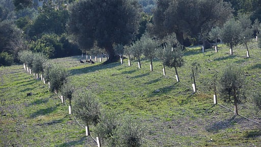 Villa Muntalegre Alentours