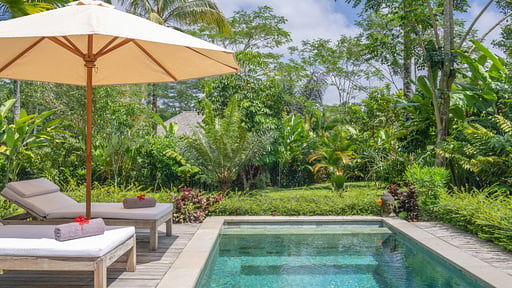 Villa Nag Shampa Swimming pool 3