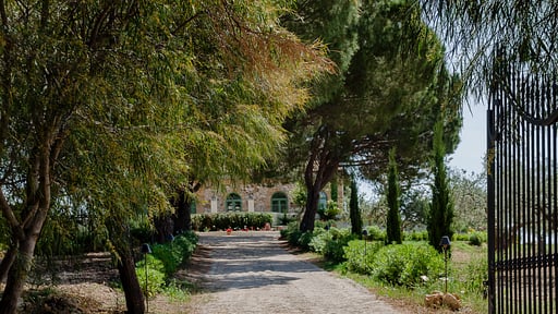 Villa Naturarte Others