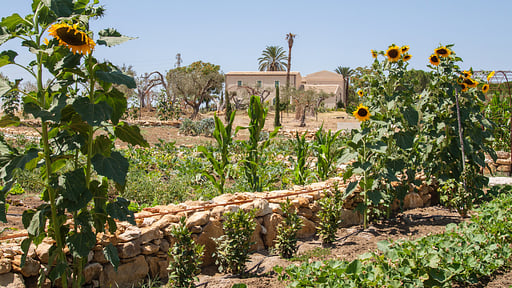 Villa Naturarte Others