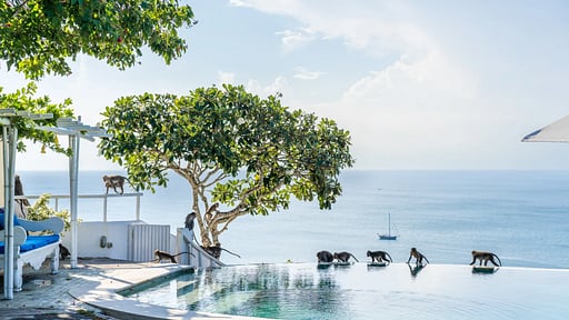 Villa Nirvana Biru Others