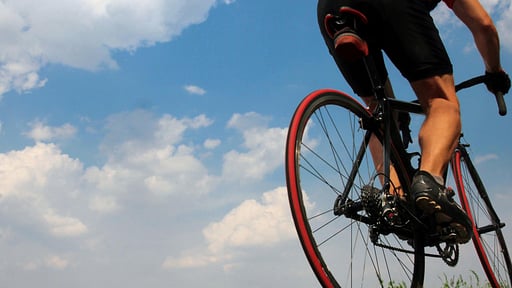 Villa Northern Star Others