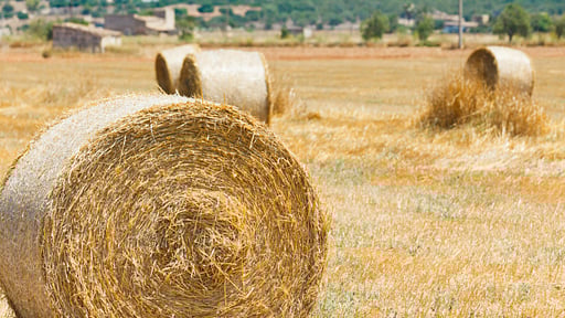 Villa Northern Star Others