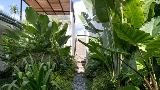 Villa Oasis Garten