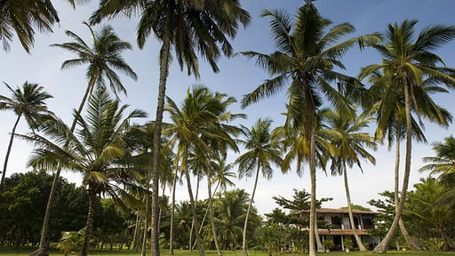 Villa Ocean's Edge Garden