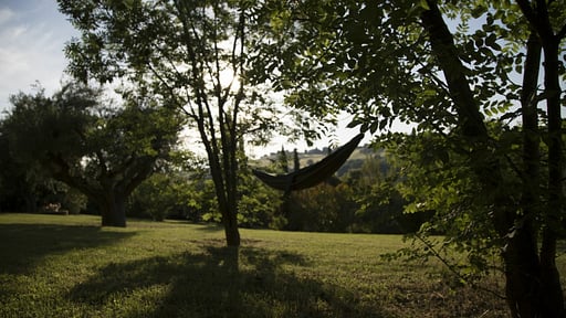 Villa Oleandri Garden