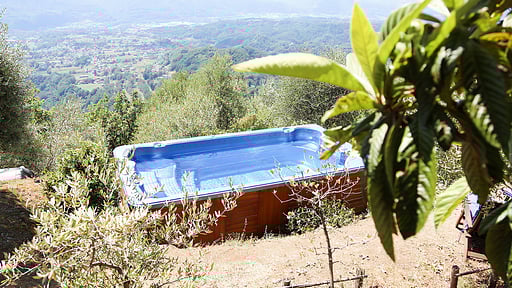 Villa Olivia Schwimmbad