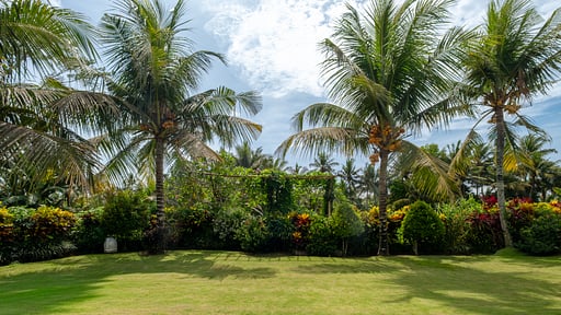 Villa Omah Padi Jardín