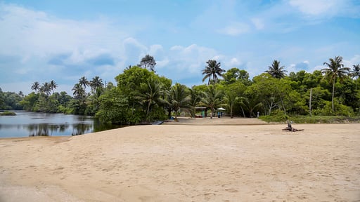 Villa Orchid Marari Surroundings