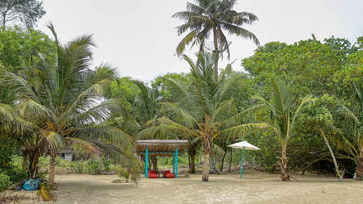 Villa Orchid Marari Surroundings