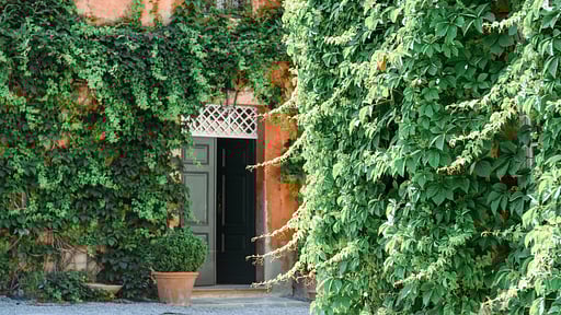 Villa Orsetti Autres