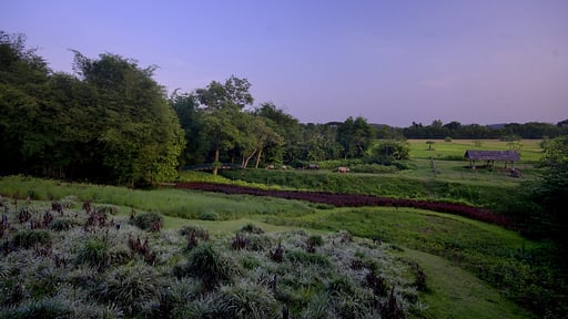 Pa Sak Tong Villa Surroundings