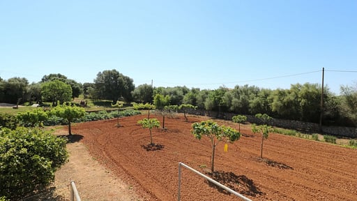 Villa Pal Drone pictures